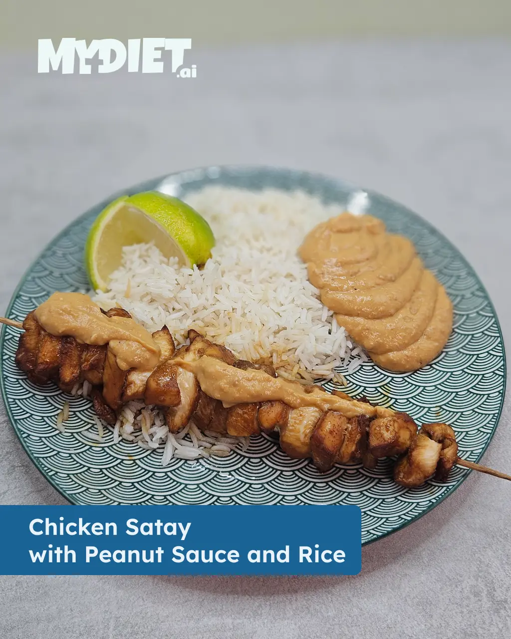 Chicken Satay with Peanut Sauce and Rice