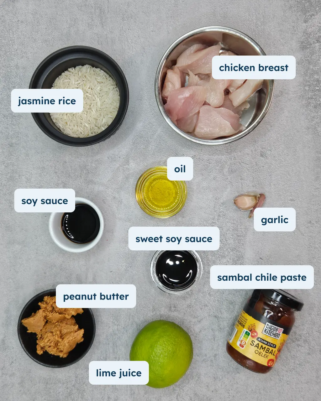 Chicken Satay with Peanut Sauce and Rice, alternate view